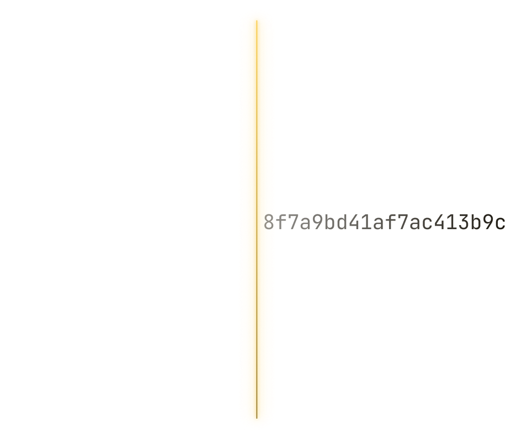 Encryption